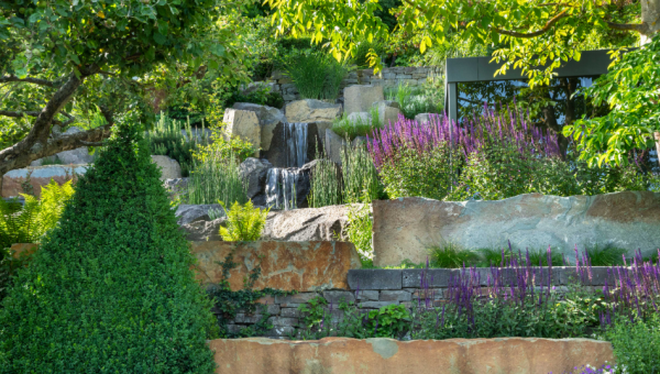 Taman dengan kombinasi batu alam dan tumbuhan rambat yang menghijau